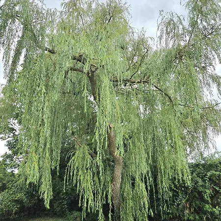 Longere De Charme, Calme & Piscine Vakantiehuis
